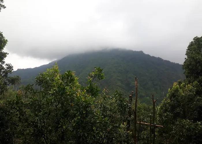 Sugi Gede Gasthof Singaraja