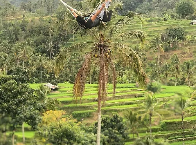 Gasthof Sugi Gede Singaraja
